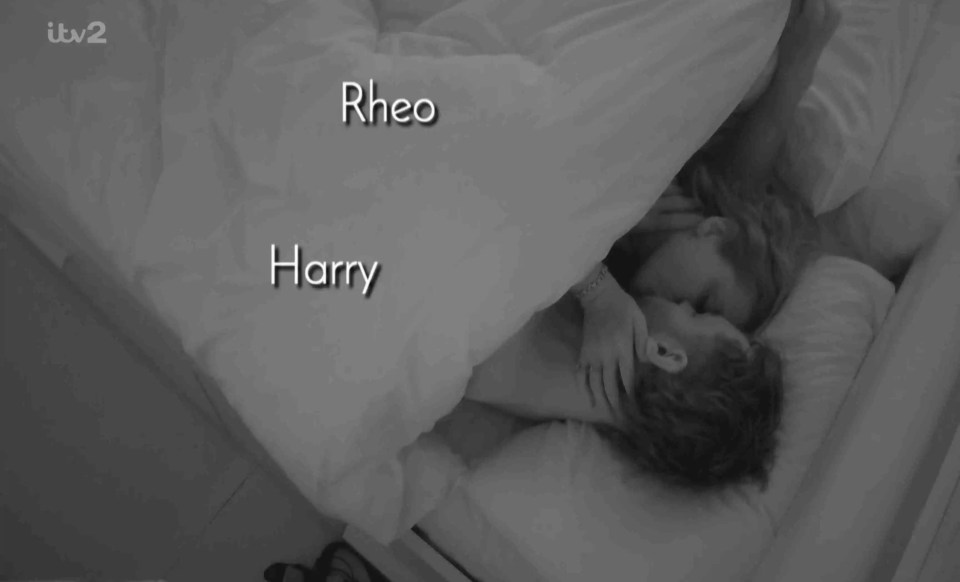 Black and white image of Harry and Rheo kissing under the covers in bed.