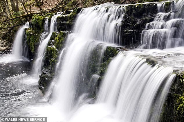 The family were cooling off at the stunning Sgwd Y Pannwr waterfall (pictured) when they began to struggle