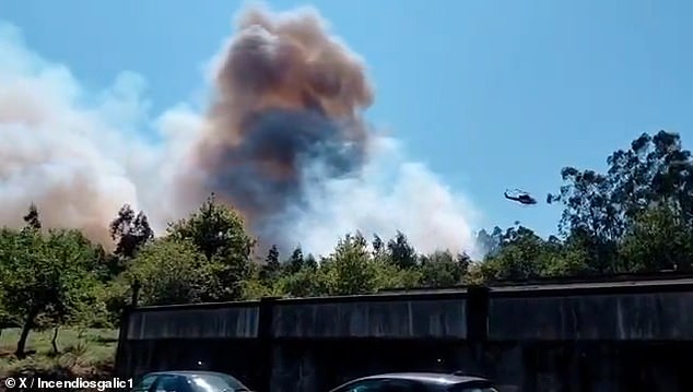 Videos posted on social media showed helicopters flying over the fires dropping water in an attempt to keep the fires under control