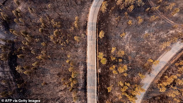 An aerial view of a burned area in Portugal as wildfires grip the Iberian peninsula
