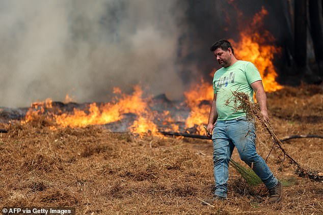 A man trying to extinguish a wildfire near his property in Arouca, northern Portugal earlier this week - Spain, Portugal and greece have been dealing with large wildfires