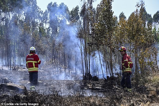 Firefighters survey the damage from a wildfire on Wednesday which required 3,000 firefighters, security and rescue workers to control