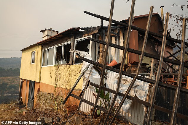 Residents in Portugal have been forced to flee as their homes are engulfed by the fires