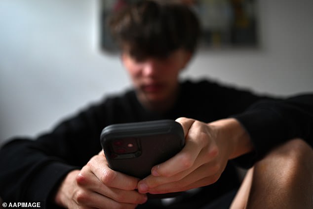 'Nudifying apps should simply not be allowed to exist,' the Children's Commissioner for England said (file pic)