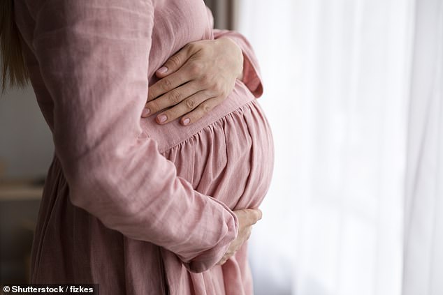 A study involving 1,100 women undergoing fertility treatment suggests a pregnancy may be up to twice as likely when the weather is sunnier and warmer (stock image)