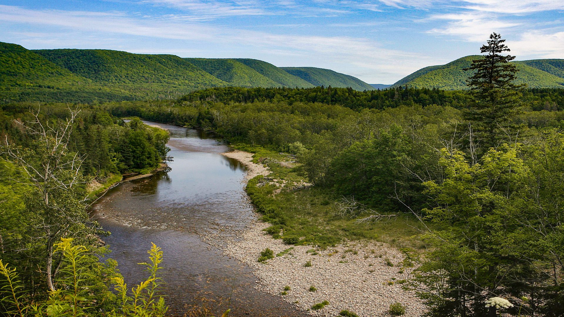 River flowing through a lush green valley.