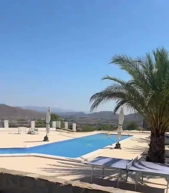 Pool area with ping pong table and palm tree.