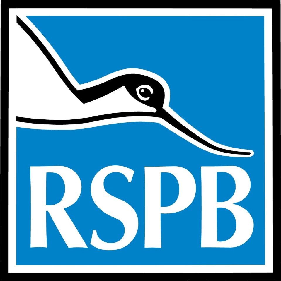 RSPB logo with an illustration of a bird's head.