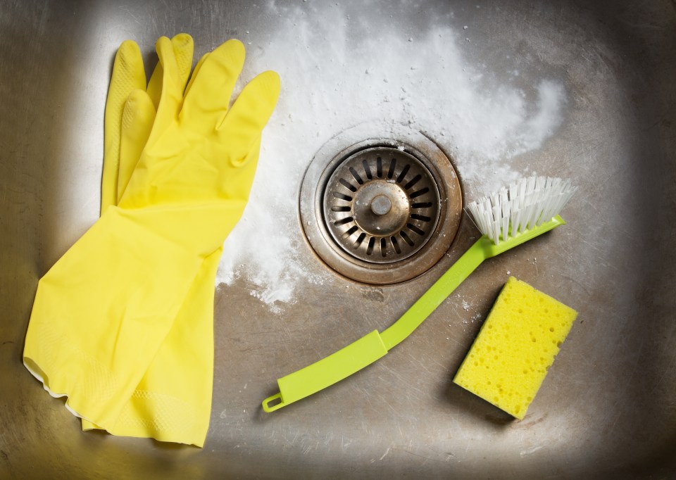 Cleaning supplies in a dirty sink.