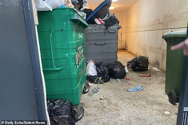 Meanwhile earlier this year in Southampton, the Labour-run Hampshire city faced its worst rodent epidemic in 30 years. Pictured: Rats at Fullerton Place, Southampton