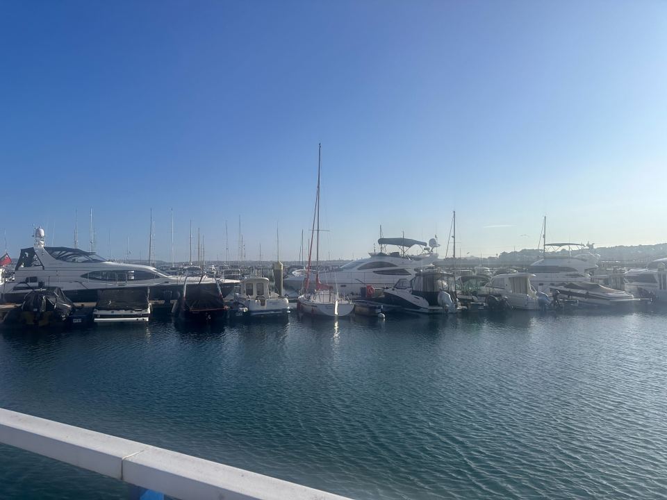 Boats docked at a marina.