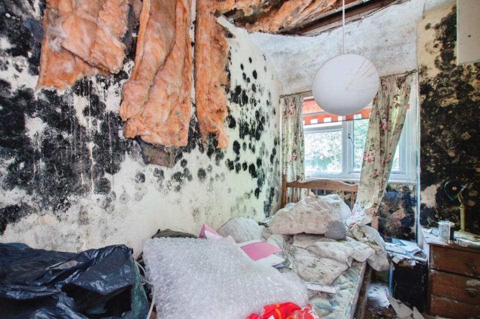 Bedroom with severe mold infestation and debris.
