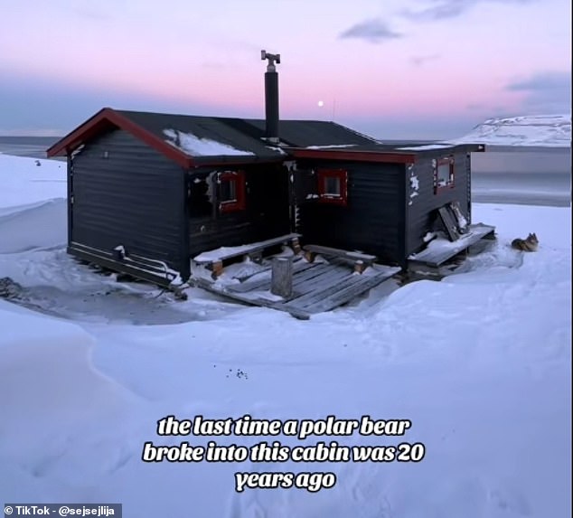 She sometimes stays in an off-grid cabin and in one video, detailed the dangers she has to deal with when there