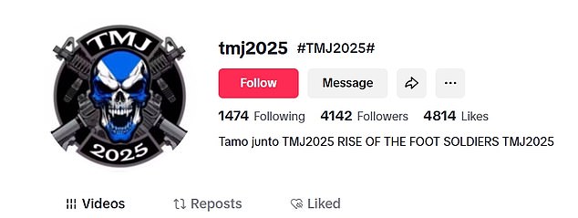Tamo Junto's videos have been viewed more than 1.6 million times on social media platform TikTok
