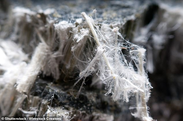 In 2023 in response to a Freedom of Information request issued by the Lib Dems, the MoD admitted that 72 per cent of service accommodation contained ‘low risk’ asbestos. Pictured: asbestos fibres (file image)