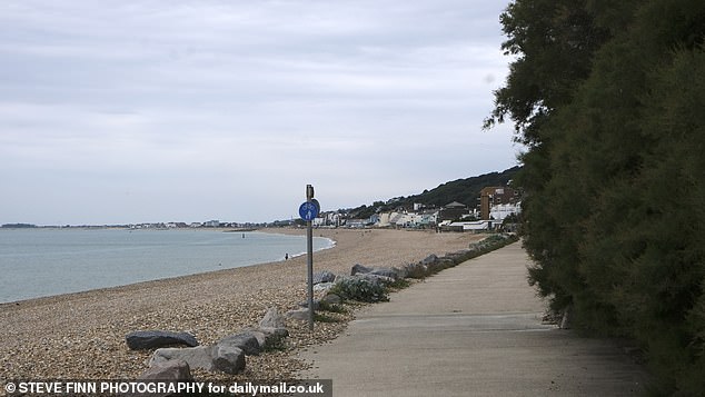 Stats show 60 per cent of homes in the town are now being purchased by Londoners