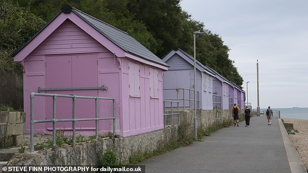 Pictured: A row of coloured huts on Sandgate's seafront