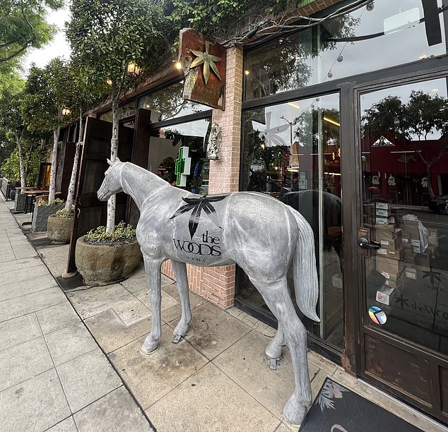 Porn theatres and brothels have been replaced by cannabis lounge, State Social House, and rows and rows of cannabis dispensaries. Even actor Woody Harrelson has his own one - aptly named The Woods (pictured)