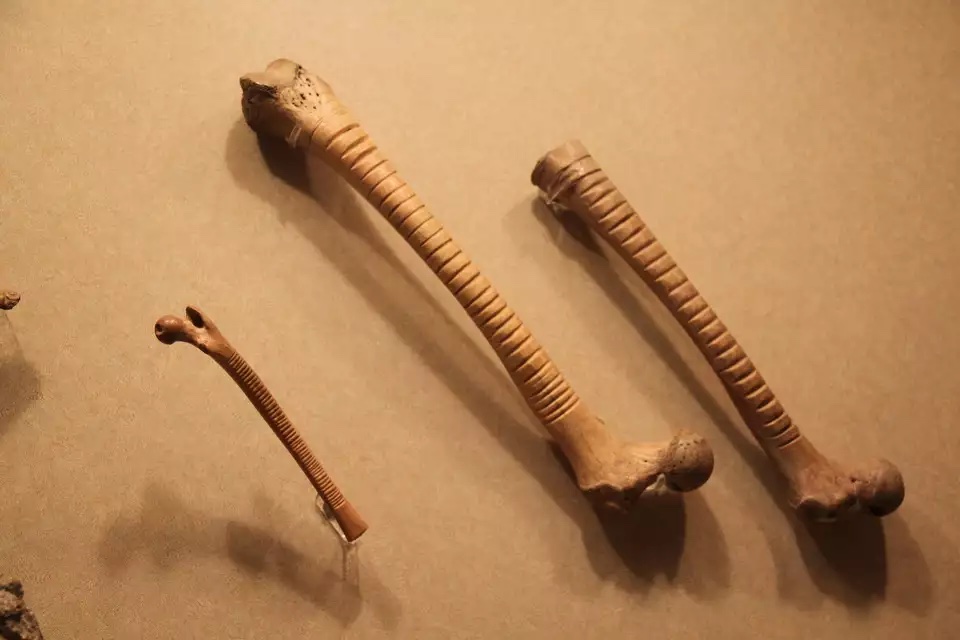 Three carved bone musical instruments from pre-Hispanic Mexico.