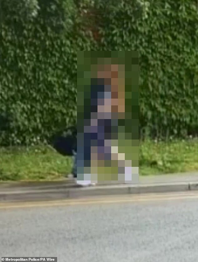 Earlier the pair were seen carrying a black bag before the kittens were found mutilated