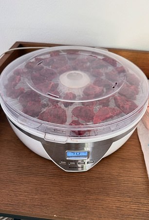 The placenta was later turned into pills by drying and grinding the organ into a powder that's then encapsulated