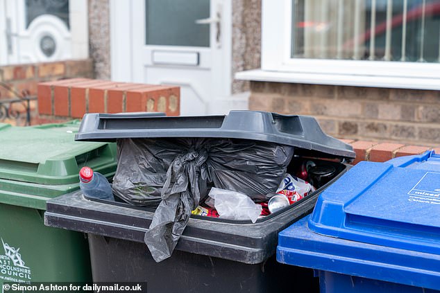 The contents are being infested with insects and the rubbish is also attracting foxes and even badgers