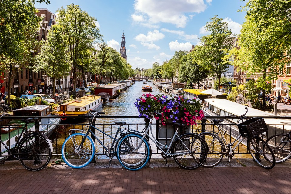 Amsterdam canal with bicycles and flowers.