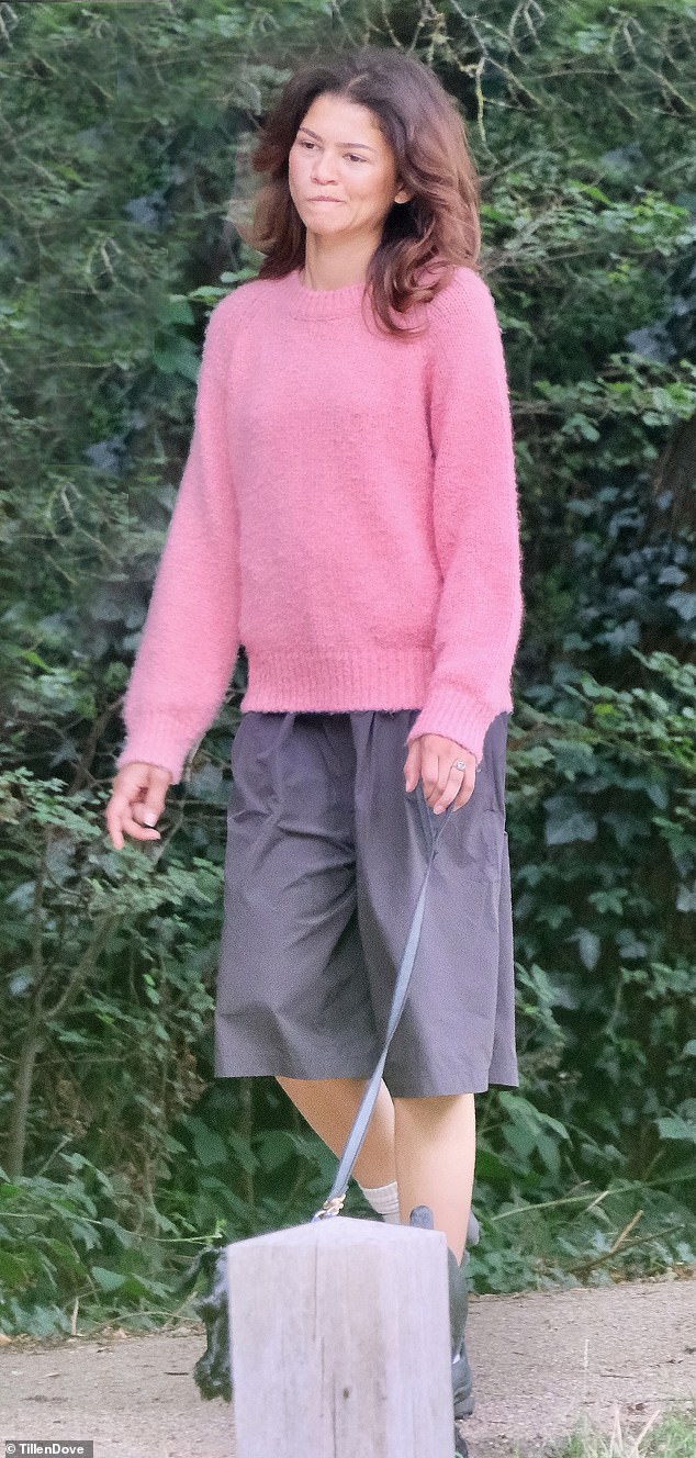 Zendaya, 28, opting for a pink knitted jumper and black jorts