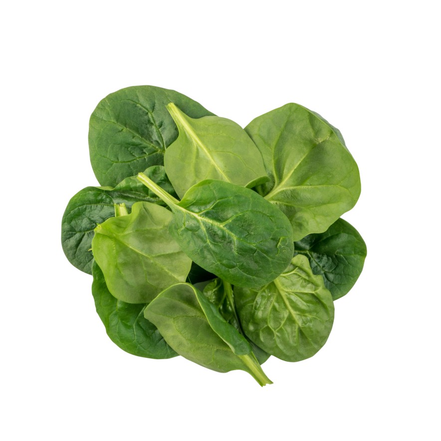 Fresh Baby Spinach Leaves Isolated. Spinacia Oleracea or Leafy Green Vegetable Top View with Clipping Path