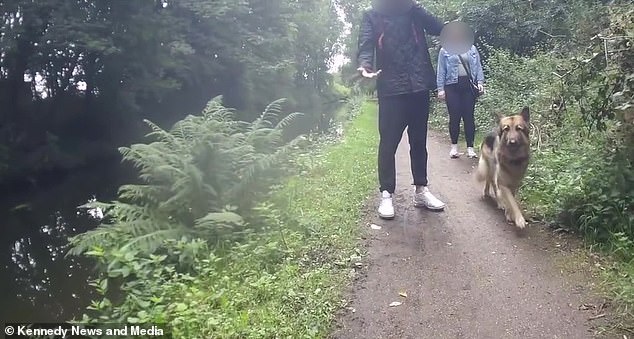 The astonishing clip sees her biking along the narrow walkway on her usual morning commute as she comes across a couple walking their dog