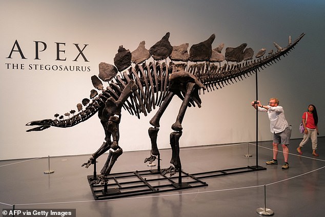 Last year, billionaire investor and hedge fund owner Ken Griffin bought a 150million-year-old stegosaurus for $44.6million at Sotheby¿s, making it the most valuable ever sold at auction