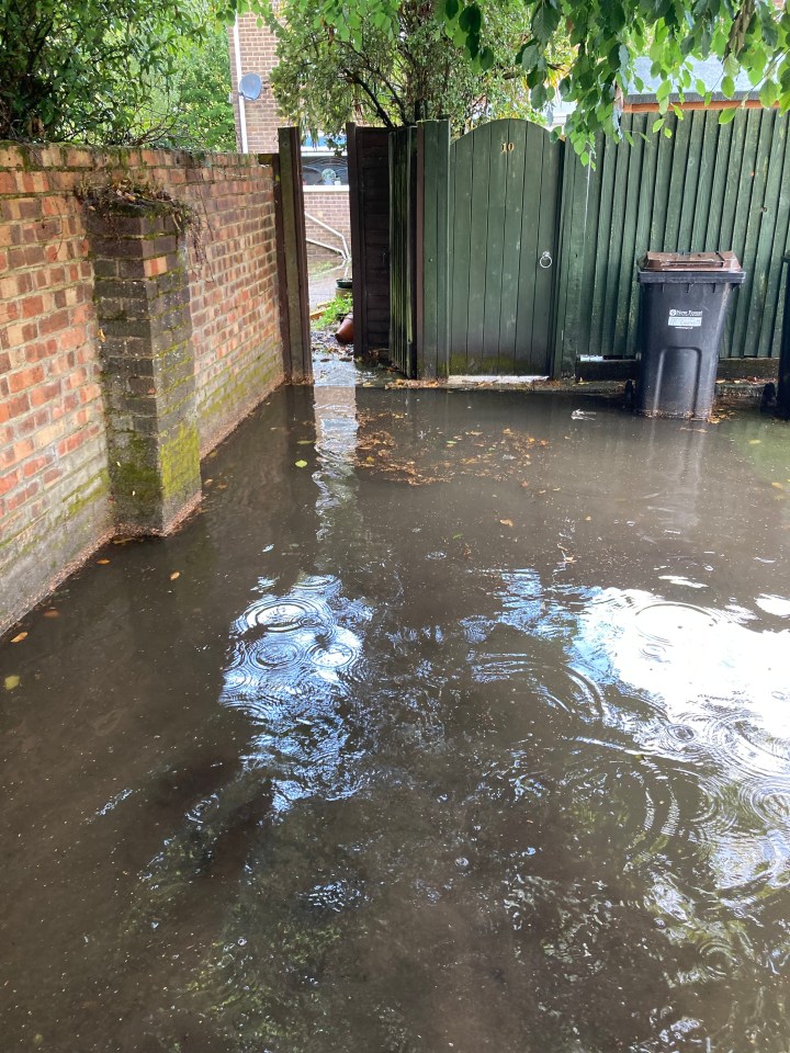 Flooded backyard with a green gate and brick wall.