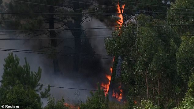 According to the Andalucia firefighter service INFOCA, there are gusts of 20-25km/hr that are favouring the fire's spread