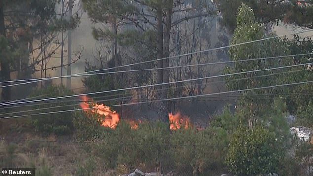 According to the local police, the fire started in a motorhome at the Torre la Peña campsite, which also had to be evacuated