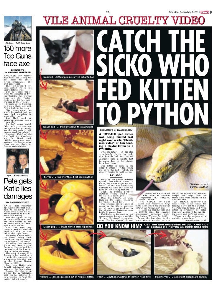 Newspaper clipping about a man who fed a kitten to a python.
