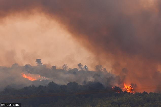 Trees burn during a wildfire at sunrise near Saint-Laurent-de-la-Cabrerisse, near Narbonne, southern France