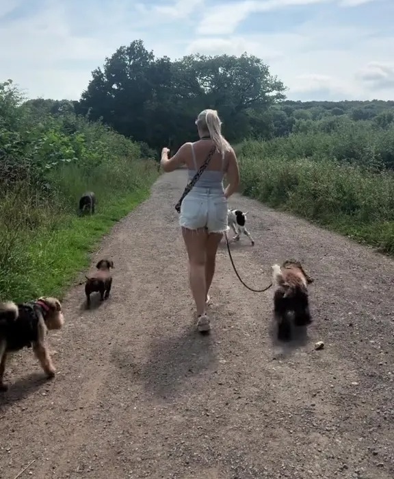 Woman walking multiple dogs on a path.