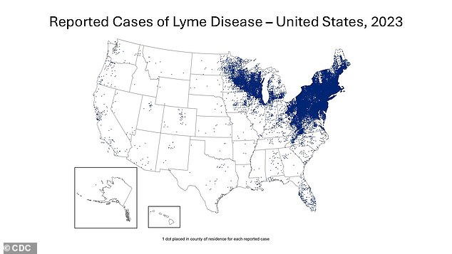 While the most recent map, dated to 2023, shows Lyme disease to be even more concentrated in the New York area