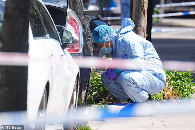 Liza Dodds, 58, a youth worker who lives opposite Dynevor Road, said: "My husband woke up and said there was gunshots. The instant reaction was 'how do you know?'