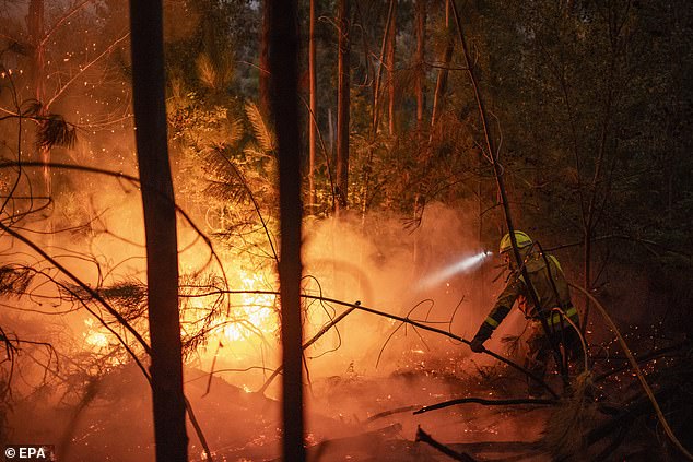 A firefighter works to extinguish an active forest fire in Pontevedra, Spain, 06 August 2025