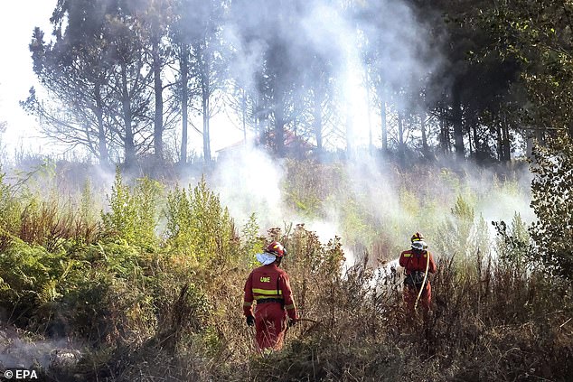 Members of the Military Emergencies Unit (UME) try to extinguish a forest fire in the municipality of Ponteceso, Galicia, Spain, August 6