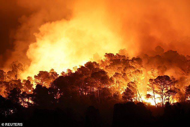 Trees burn during a wildfire near in Saint-Laurent-de-la-Cabrerisse, southern France, August 6, 2025