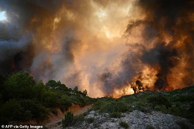 A forest is engulfed in flames as a wildfire rages near Fontjoncouse, southwestern France, on August 5
