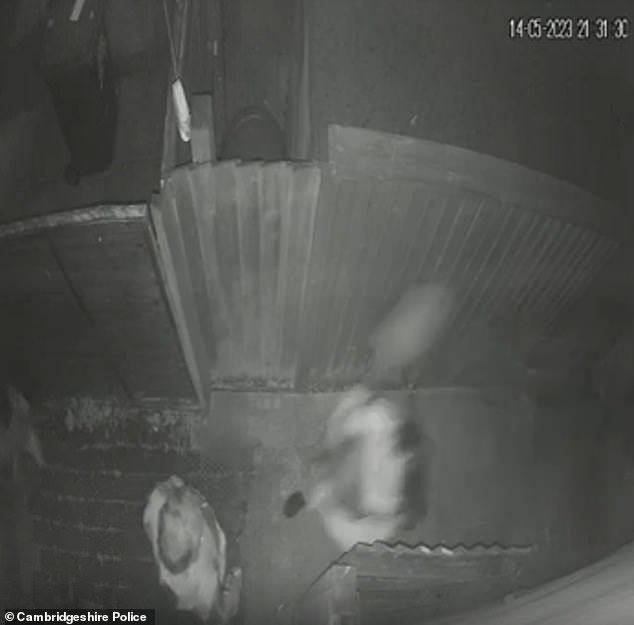 CCTV shows Lloyd, 44, walking towards the victim with a spade over her shoulder