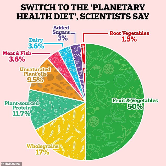 Other experts suggest limiting intake of 'animal-sourced protein' (meat and fish) to 3.6 per cent of our overall food consumption. Dairy intake is the same (3.6 per cent) while the rest of the diet consists of whole grains (17 per cent), plant-sourced protein (11.7 per cent), unsaturated plant oils (9.5 per cent), added sugars (3 per cent) and starchy vegetables (1.5 per cent)