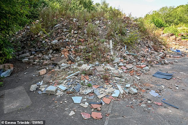 Shocking photos show huge piles of fridges, mattresses, bin liners, children's toys and tyres have been dumped along the lane leading to the West Midlands site (pictured)
