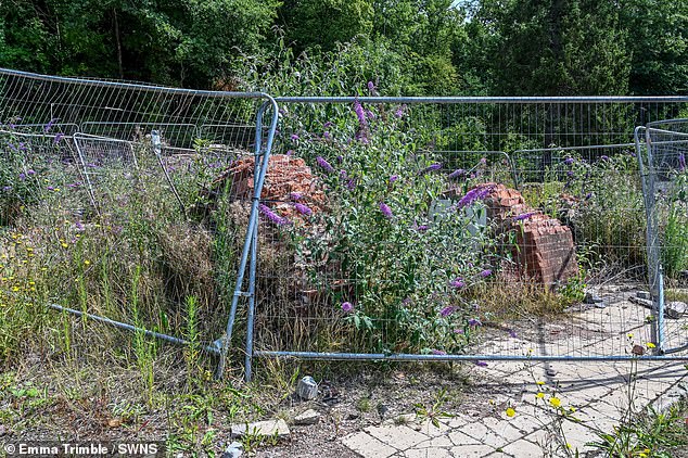 He added: 'We are worried about the safety of the area immediately in front of it...'. Pictured: The site two years on from the fire