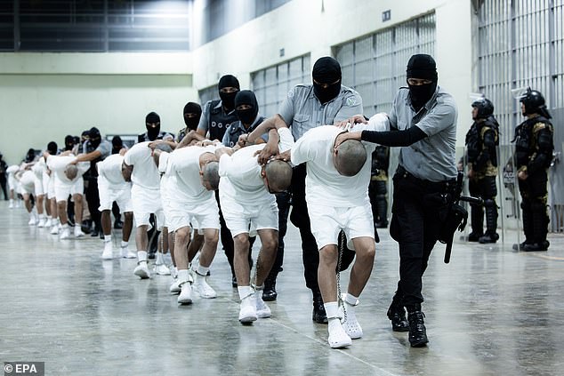 Pictured: Alleged members of Tren de Aragua, a gang Maduro is accused of working with, are moved through the notoriously brutal prison in El Salvador known as CECOT