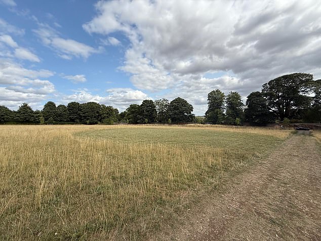 In an adjoining field, an impromptu circular helicopter landing pad had also been mown into the grass