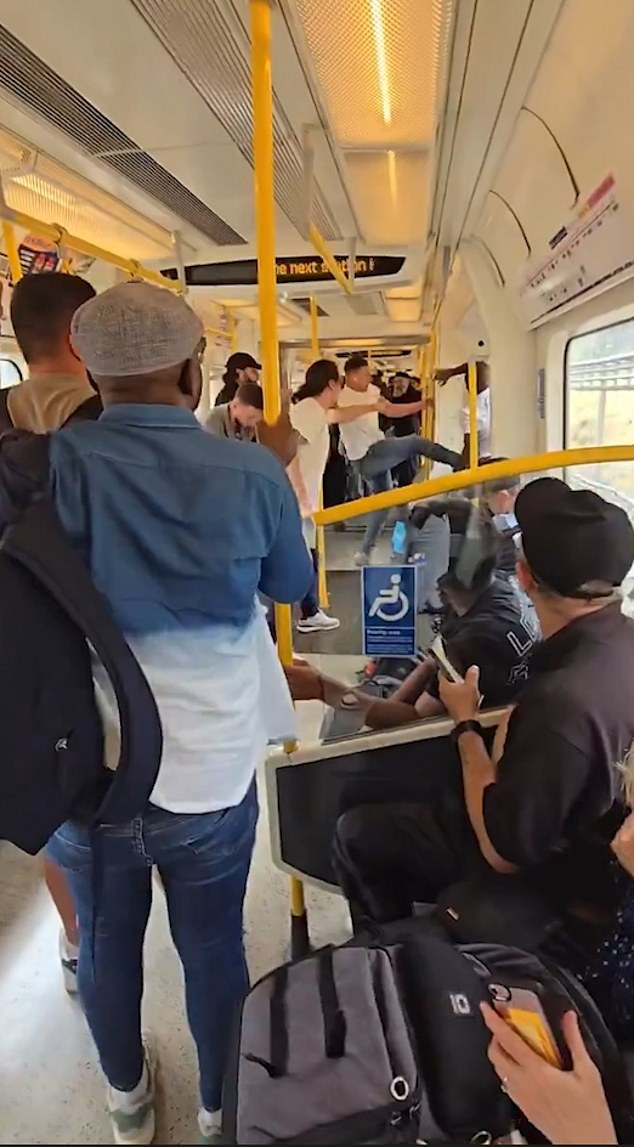 Passengers repeatedly asked him to put his genitals away and get off the train. He responded by waving his belt and screaming so the group attacked him